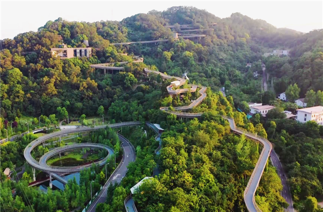 PT视讯集团荣获两项国家级协会工程建设科学技术奖！